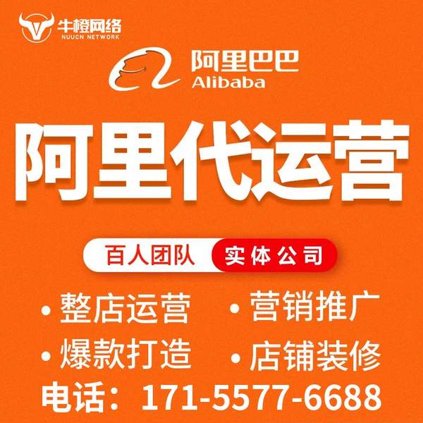 马鞍山电商代运营