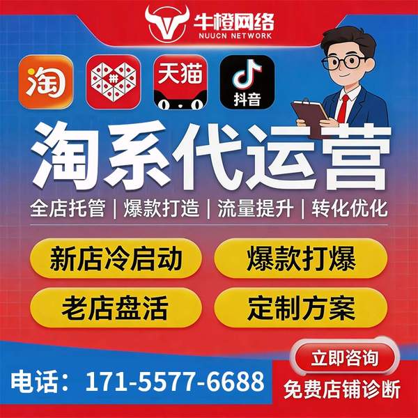 马鞍山电商代运营