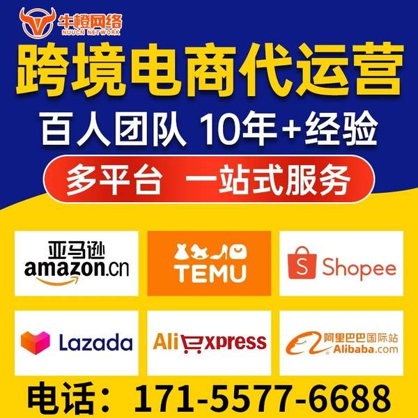 马鞍山电商代运营