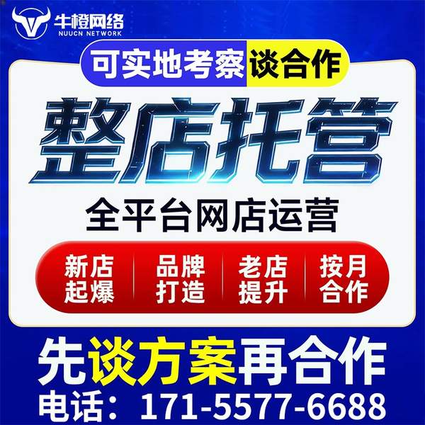 马鞍山电商代运营