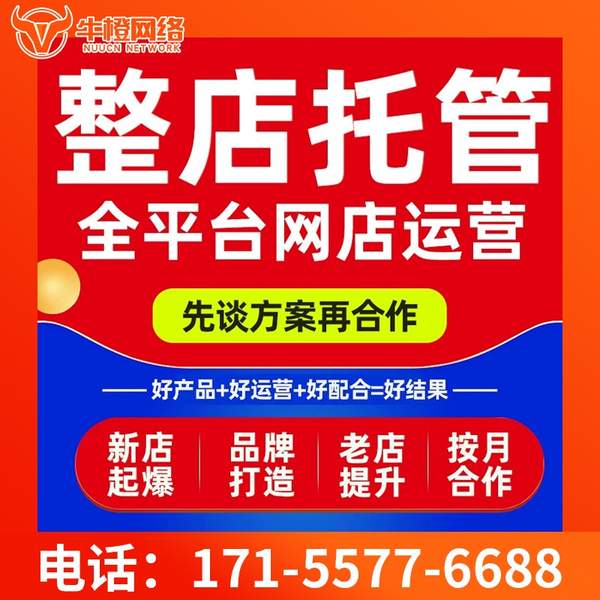 马鞍山电商代运营
