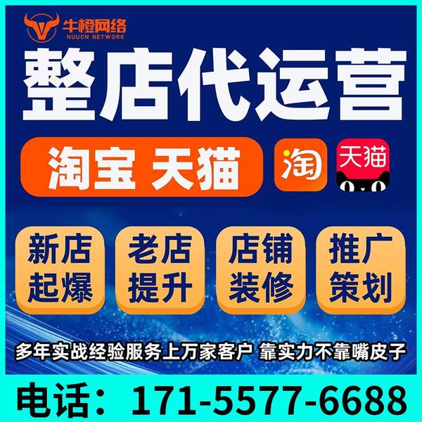 马鞍山电商代运营
