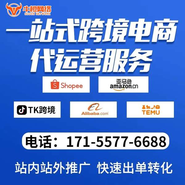马鞍山电商代运营