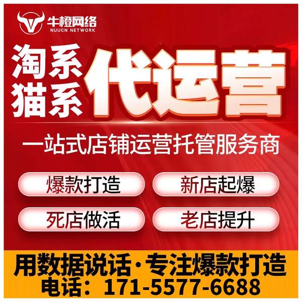 马鞍山电商代运营